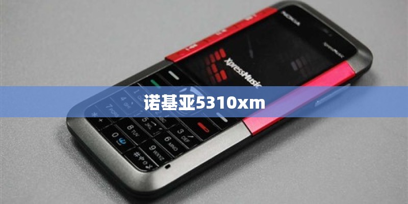 诺基亚5310xm