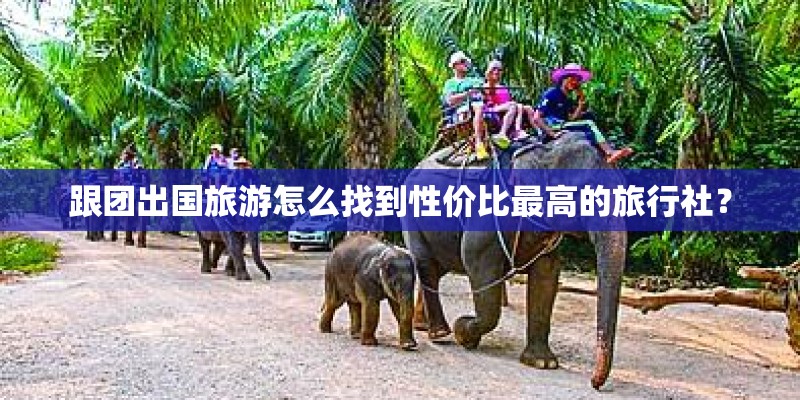 跟团出国旅游怎么找到性价比最高的旅行社？