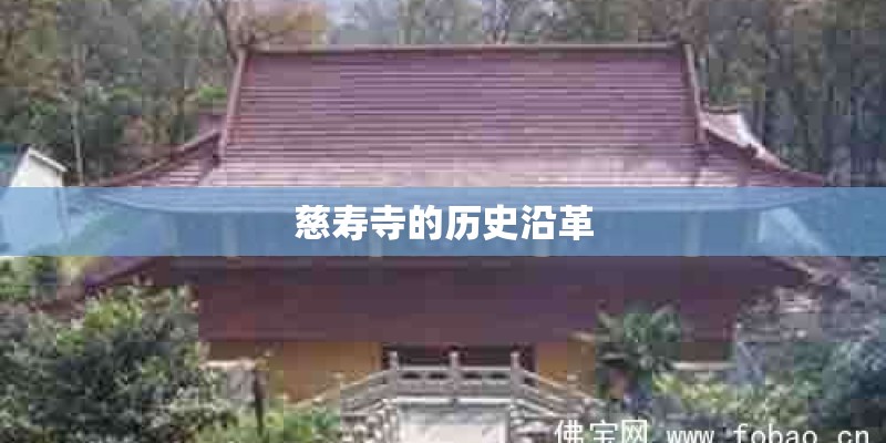 慈寿寺的历史沿革