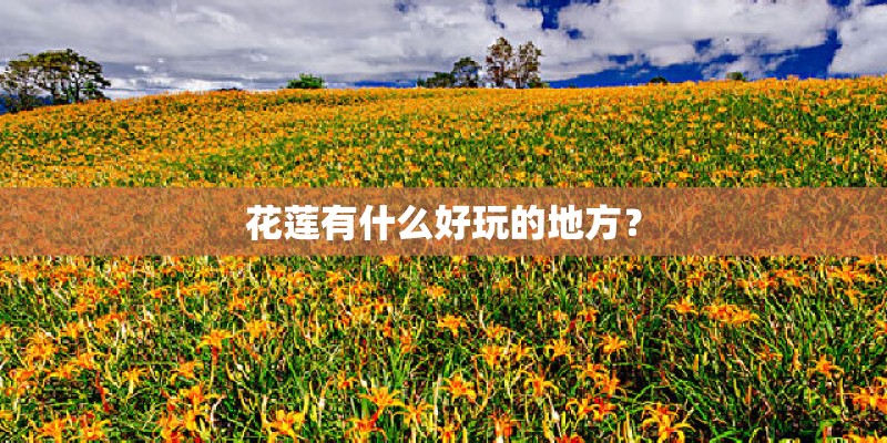 花莲有什么好玩的地方？