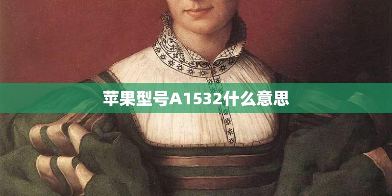 苹果型号A1532什么意思