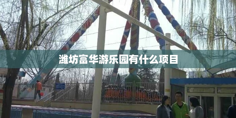 潍坊富华游乐园有什么项目
