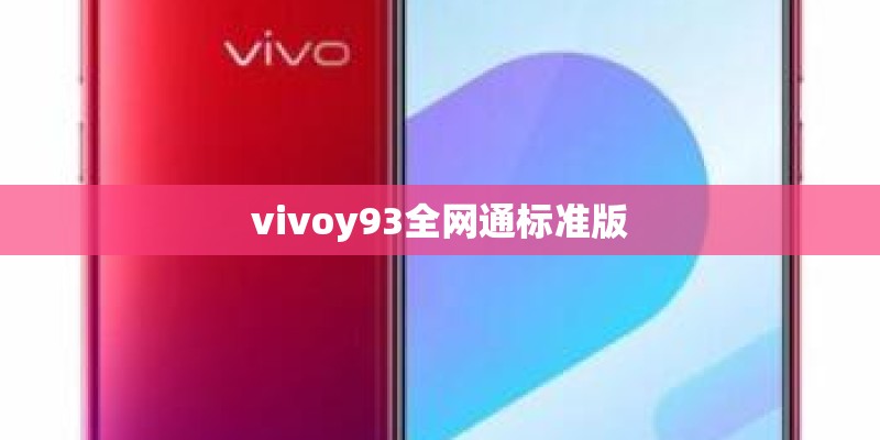 vivoy93全网通标准版