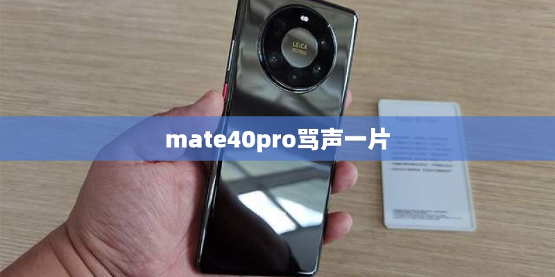 mate40pro骂声一片