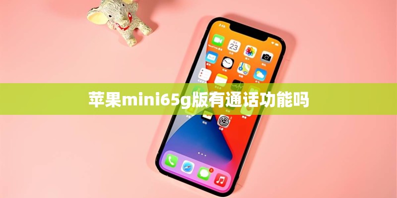 苹果mini65g版有通话功能吗