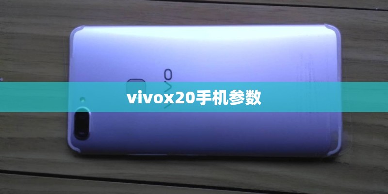 vivox20手机参数