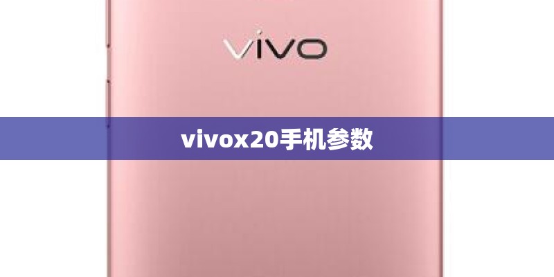 vivox20手机参数