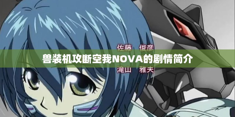 兽装机攻断空我NOVA的剧情简介