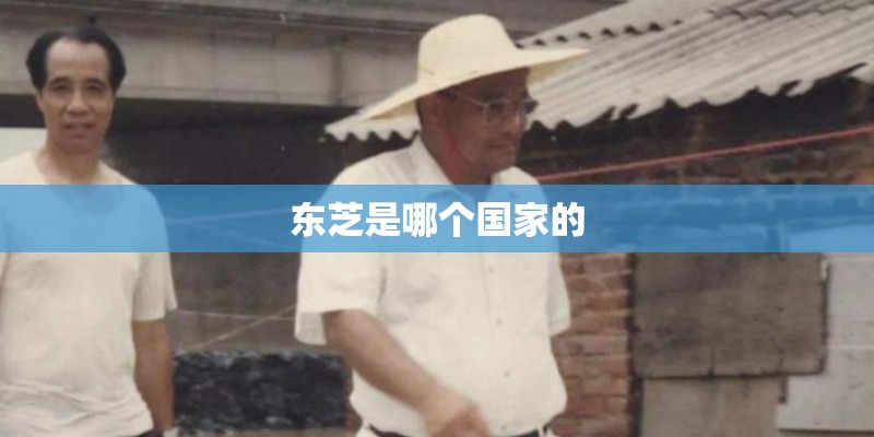 东芝是哪个国家的