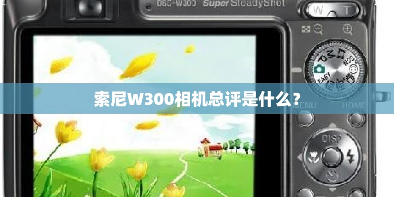 索尼W300相机总评是什么？