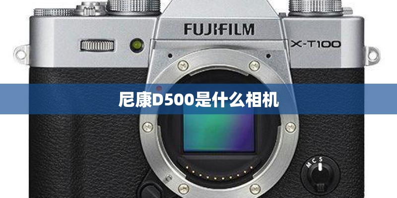尼康D500是什么相机
