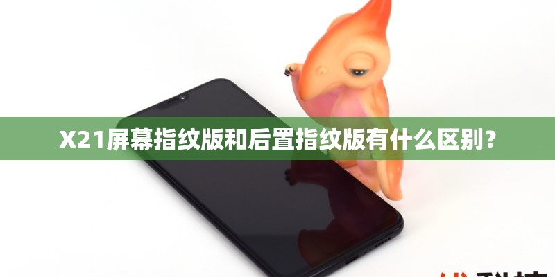 X21屏幕指纹版和后置指纹版有什么区别？