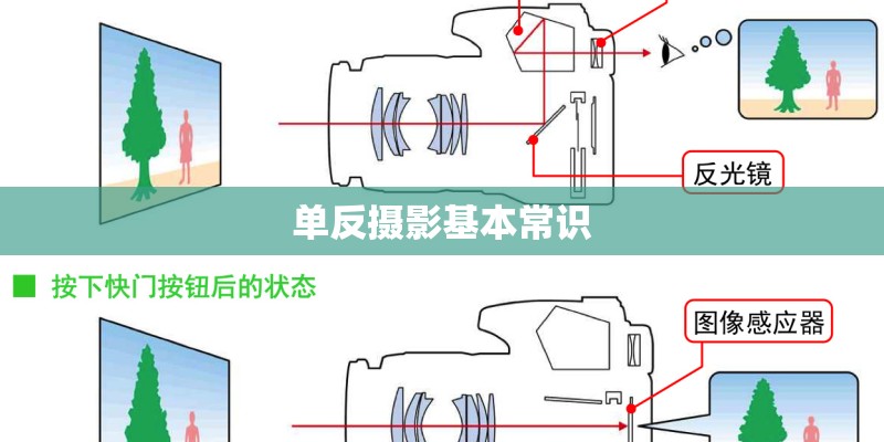 哪个牌子的耳机好