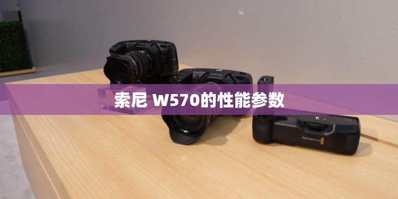 索尼 W570的性能参数 索尼 W570的性能参数