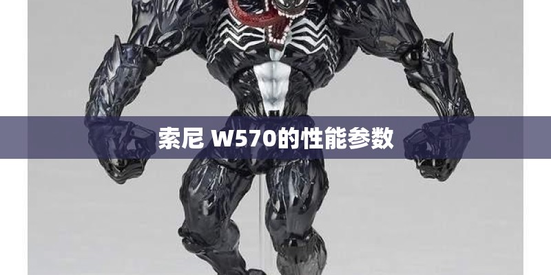 索尼 W570的性能参数 索尼 W570的性能参数