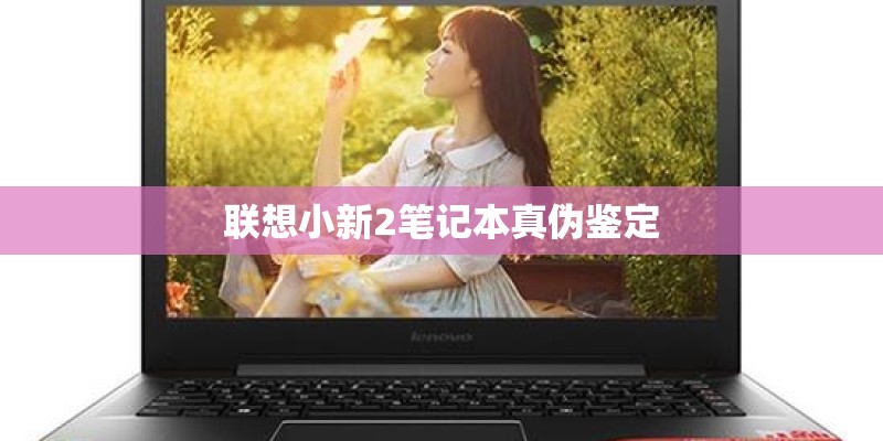 联想小新2笔记本真伪鉴定