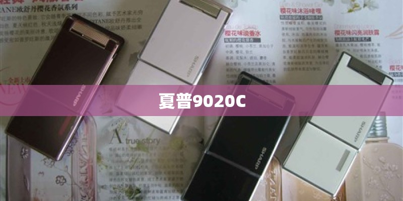 vivox6有那几款