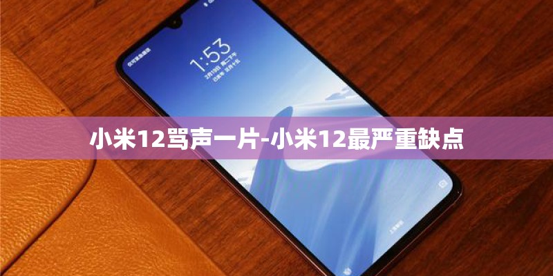 小米12骂声一片-小米12最严重缺点