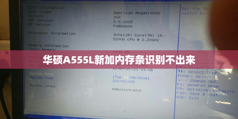 vivox6有那几款