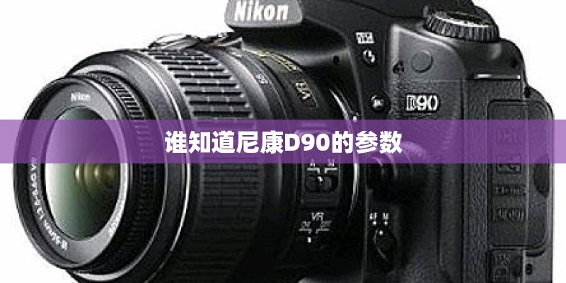 谁知道尼康D90的参数 谁知道尼康D90的参数